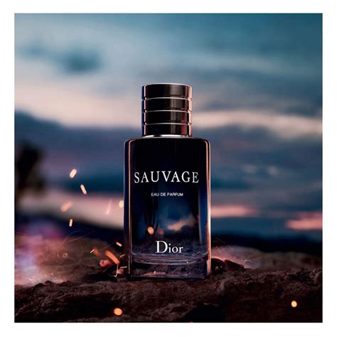 dior sauvage recension|christian dior sauvage review.